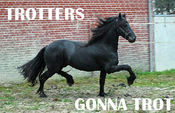Trotters