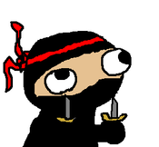 Ninja20110725-22047-1vwwq6u
