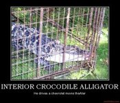 Interior-crocodile-alligator-crocodile-awesome-lol-demotivational-poster-1261332163