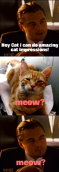 Catimpression