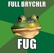 Full-brychlr-fug
