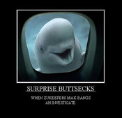 Surprise
