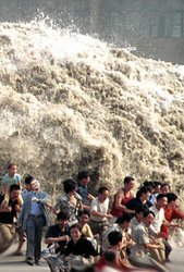 Tsunami_leo