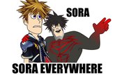 Soraeverywhere