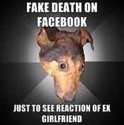 Fake-death-on-facebook-just-to-see-reaction-of-ex-girlfriend