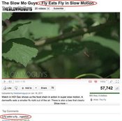 Memes-oh-youtube-comments