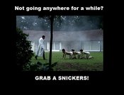 Grab%20a%20snickers