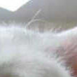 Intervention320110725-22047-yk7c01