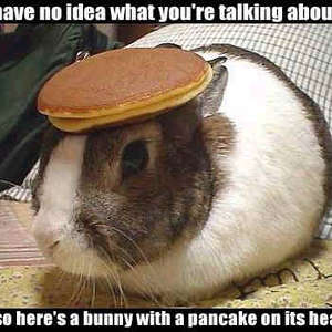 pancake_bunny_meme.jpg