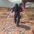 Reach_16390780_full