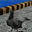 Hatsun the Pigeon Hatsun the Pigeon