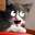 RBkitteh RBkitteh