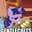 FluffySugarCat