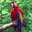 macaw facts