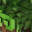 Minepic2