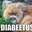 Wilford Brimley Cat