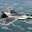 The Awesome bro dude