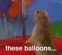 https://i1.kym-cdn.com/photos/images/masonry/000/014/900/DramaPrairieDog_Balloons.gif