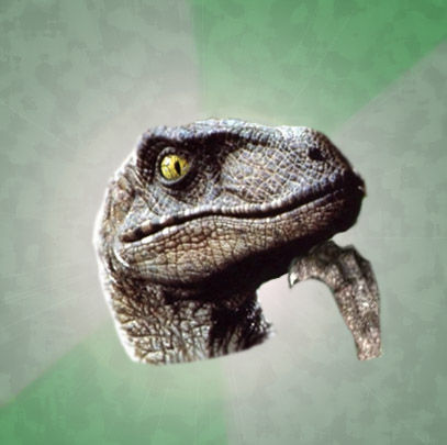 TIL Komodo dragons can give virgin births, but it's not a genetic clone ...